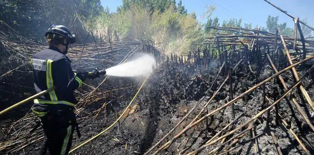 Un incendio calcina más de una hectárea de terreno en La Alberca