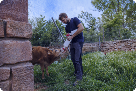 Foto sobre fondo azul